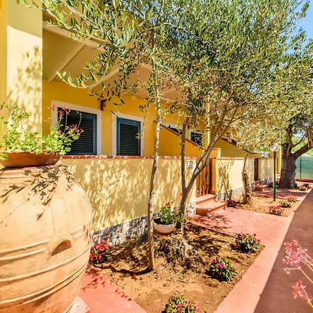 Villaggio Residence Pietra Grigia Marina di Camerota Eksteriør billede