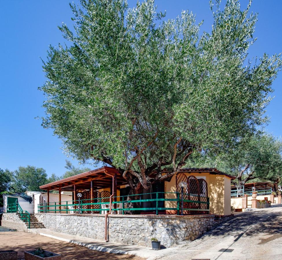 Villaggio Residence Pietra Grigia Marina di Camerota Eksteriør billede