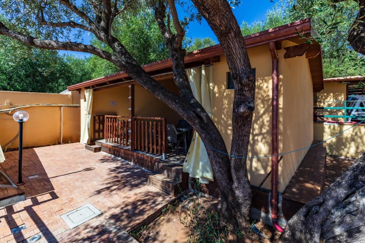 Villaggio Residence Pietra Grigia Marina di Camerota Eksteriør billede